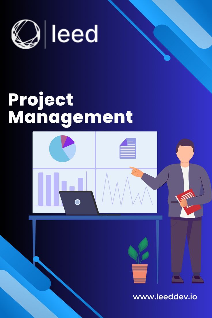 Project Manager IT